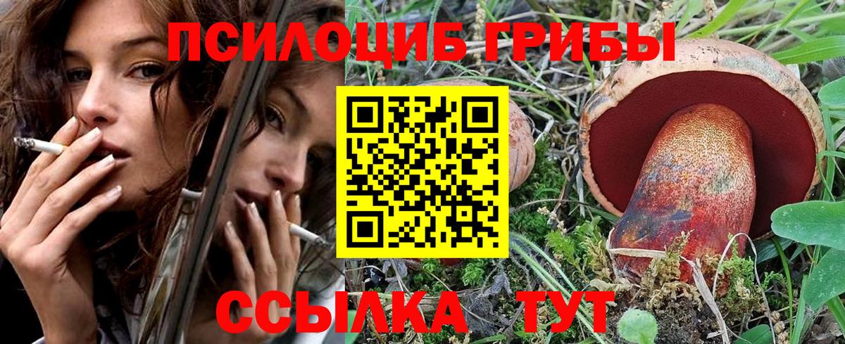 Галлюциногенные грибы мухоморы Димитровград