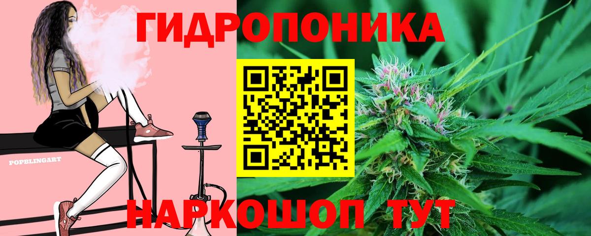 Бошки Шишки семена  Марихуана VHQ  Вход с VPN  Бошки марихуана OG Kush  Димитровград  Канабис марихуана 