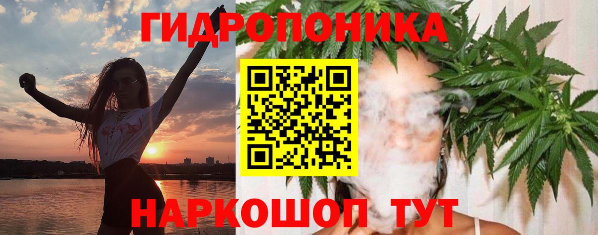 Конопля план Димитровград